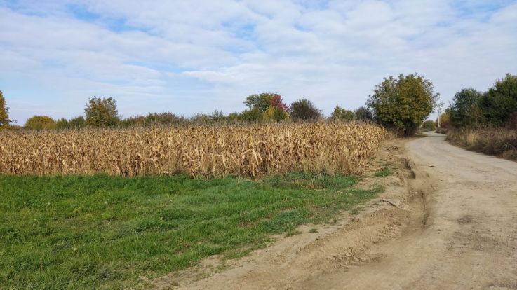 Teren de vanzare pe strada Dara