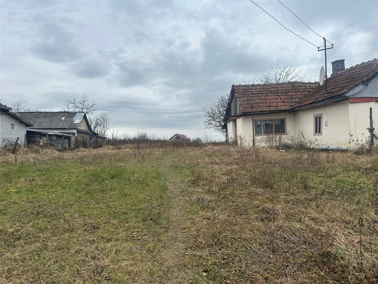 Teren Intravilan cu casa de Vanzare in Viile Satu Mare - 3000 mp, Front 24 ml la 2 Strazi - 39.000 EUR